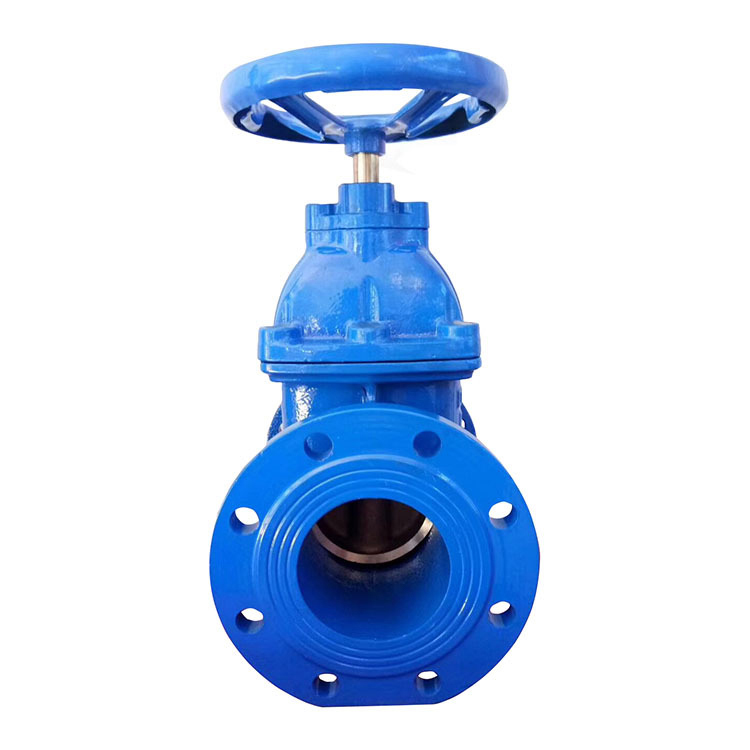 北京高中压FZ45T暗杆防护闸阀