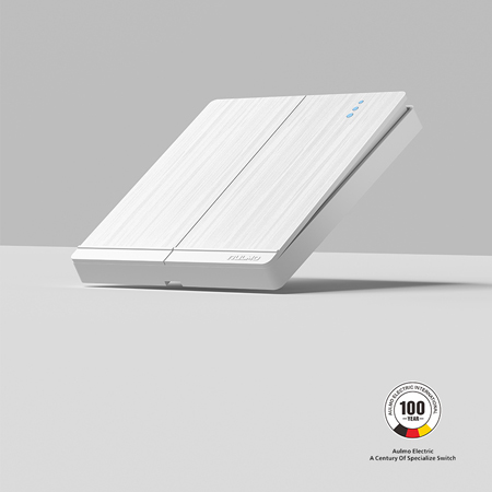 厂家供应 奥尔玛 LG20 series型号开关