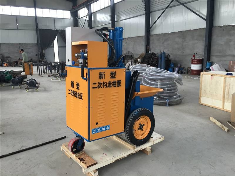 立式二次构造柱泵