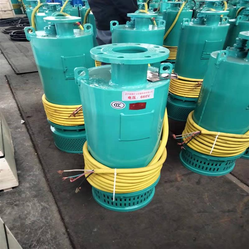 矿用隔爆型潜水排沙排污电泵BQS40-50-15/N内装式潜水泵三相电机