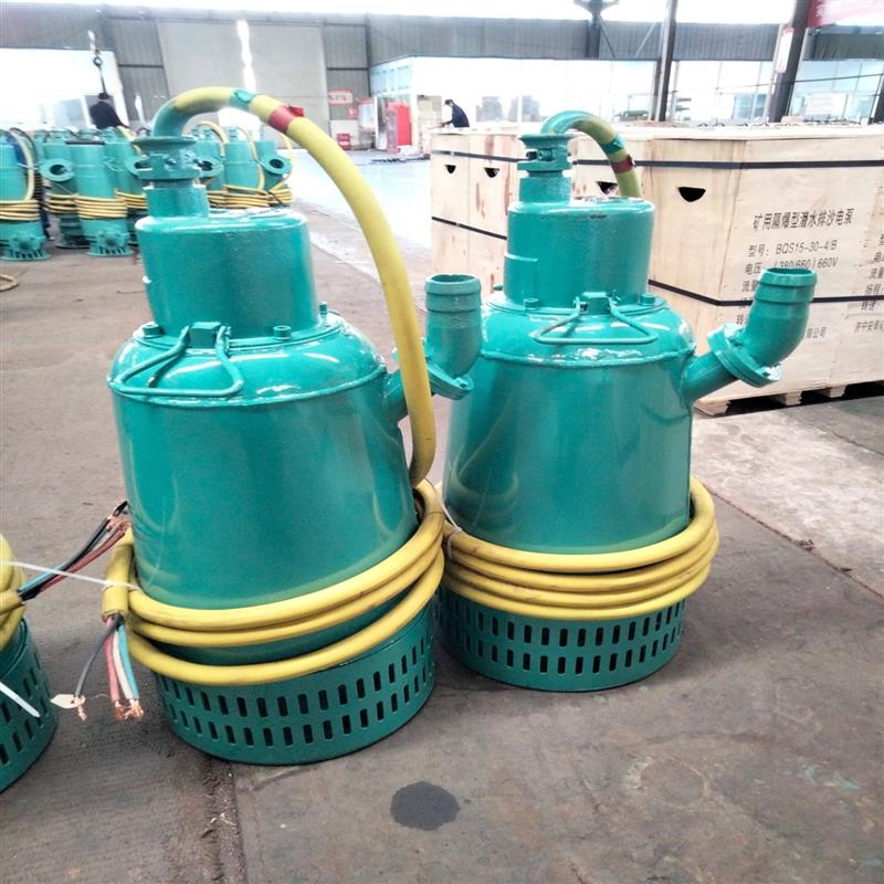 BQS矿用隔爆型排污排沙潜水电泵矿山抢险排水泵三相电机IP*8防爆