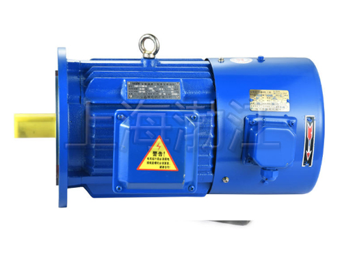 上海渤江机电供应变频电动机