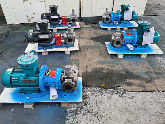 天一泵业凸轮转子泵3rp不锈钢食品级