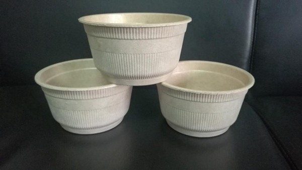 玉米秸秆生态全降解餐具及包装制品生产流水线