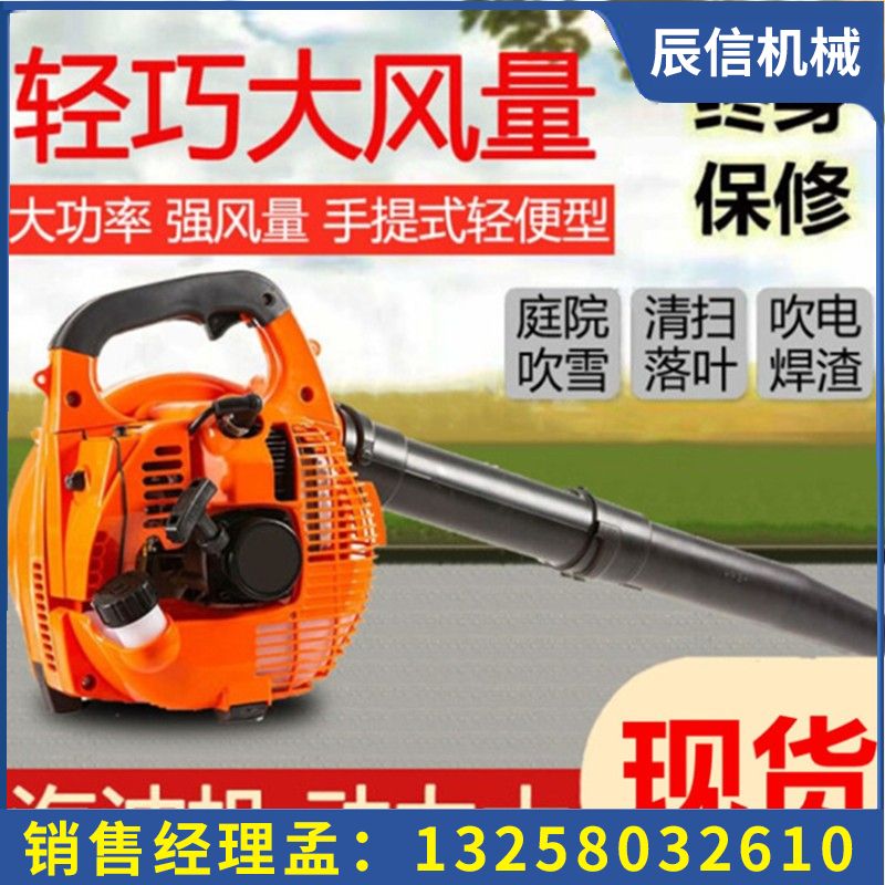 EB260手提汽油吹风机 工地吹尘二冲程鼓风机风力灭火机可OEM定制