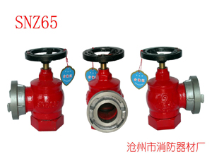旋转型室内消火栓 室内单阀双口消火栓