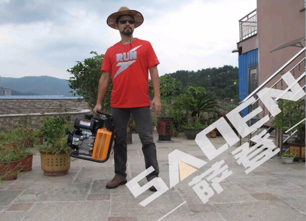 上海萨登180A永磁汽油发电电焊机WED-180价格