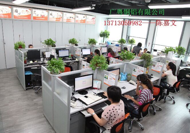 广粤铜铝有限公司