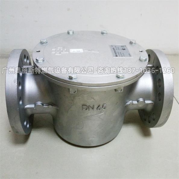 意大利贵龙70620F/6B，70640F/6B天然气过滤器