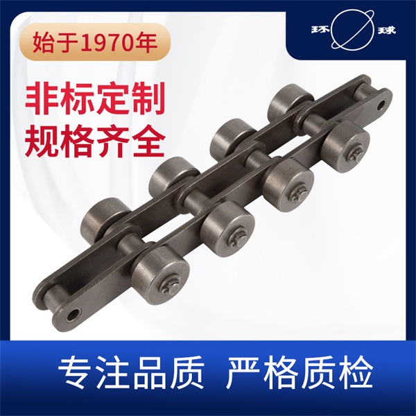 侧滚轮输送链 环球链条 输送链厂家 非标定制