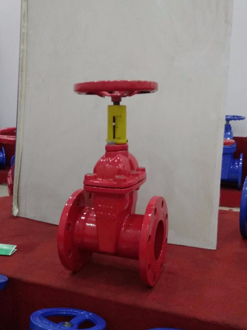 河北精航宇附开度指示弹性座封闸阀