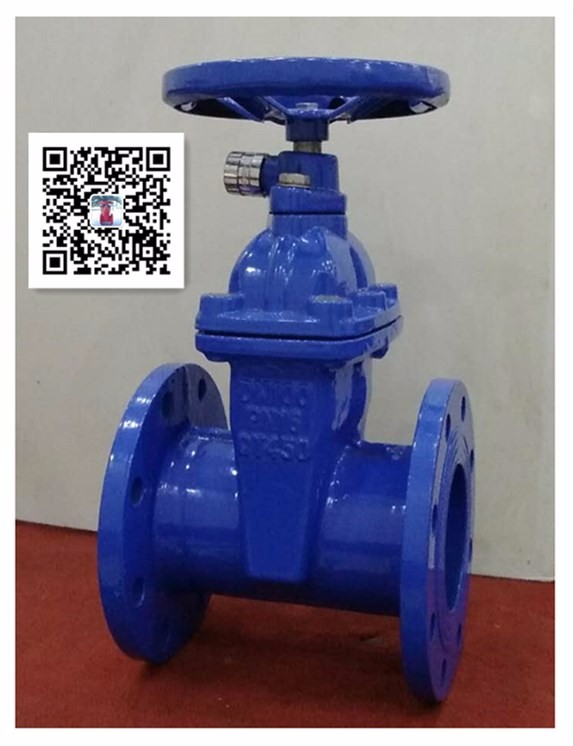 河北精航宇锁闭弹性座封闸阀