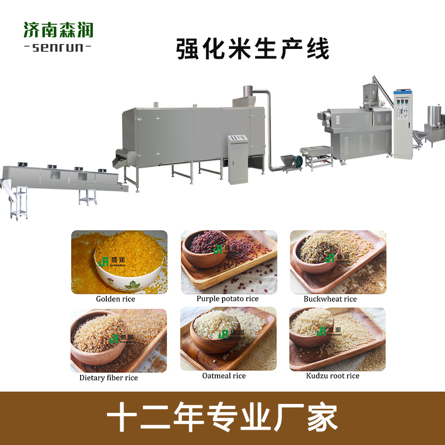 盛润机械TSE-营养米双螺杆膨化机