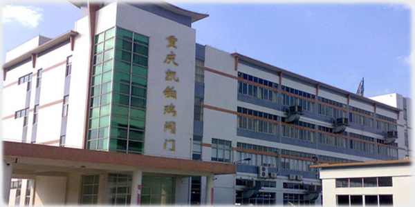 重庆凯铂瑞阀门有限公司