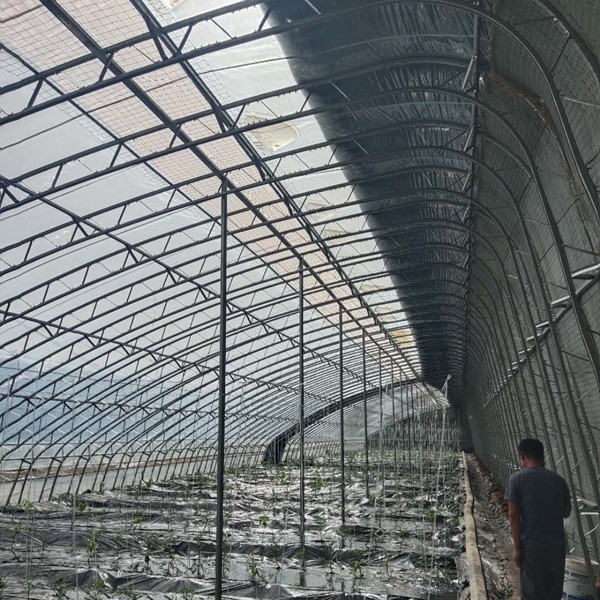 凯威蔬菜C型双膜骨架大棚