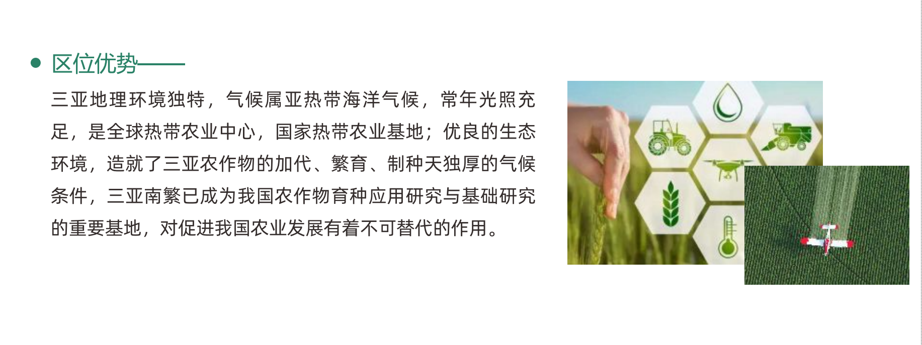 2025海南（三亚）国际种业展览会