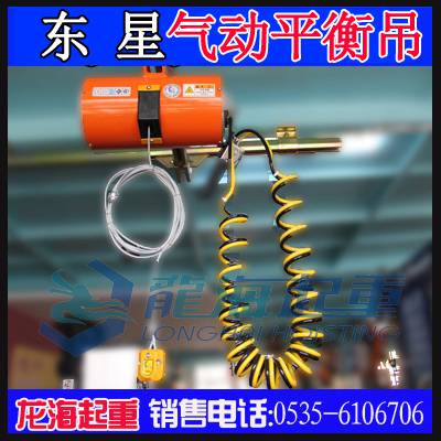 110kg东星气动平衡器,dongsung气动平衡器现货