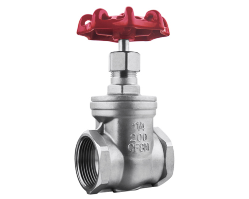 Z15W-16P丝扣闸阀