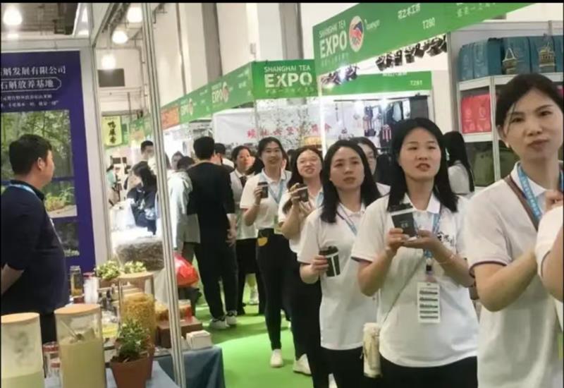 2025第二十七届上海国际茶业交易博览会
