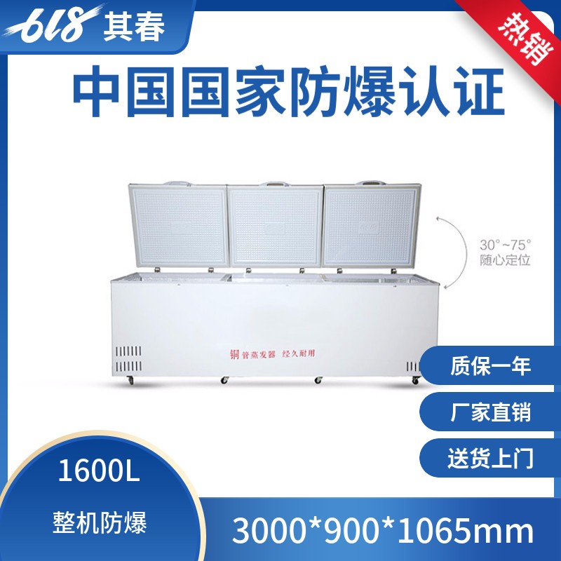 大容积卧式防爆冰柜BL-W1600/2000L带锁电子温度控制