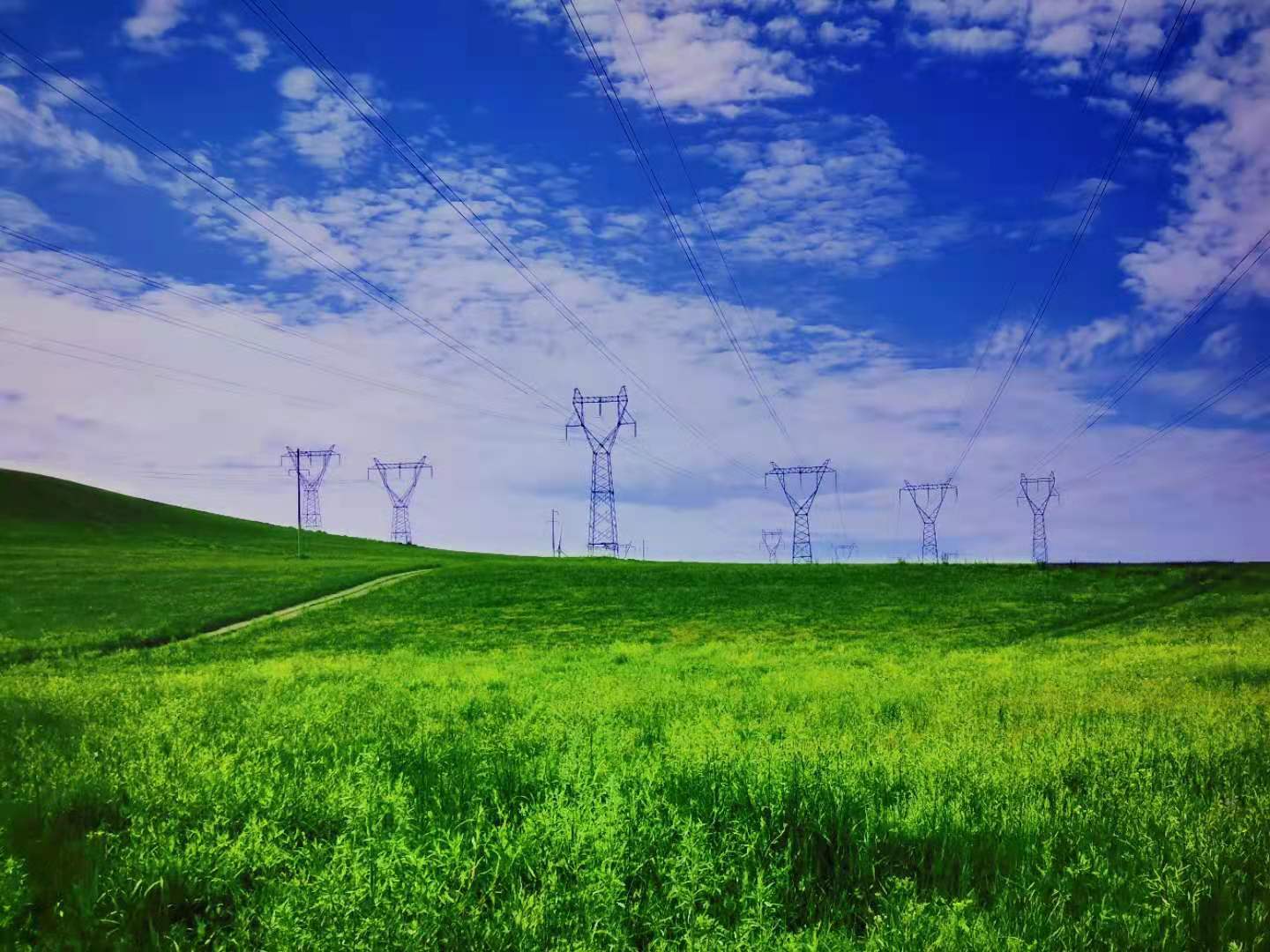 2025中国（山东）辐射科技产业大会暨核防护装备材料展览会