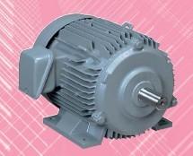 日本HITACHI日立IE3超高能效电机TFO-LK TFO-LKK