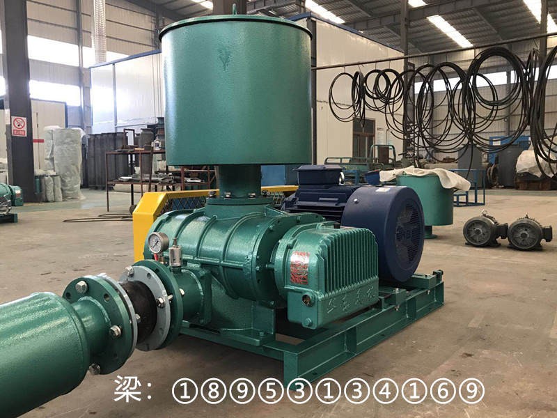 N型K型机械密封罗茨鼓风机生产厂家