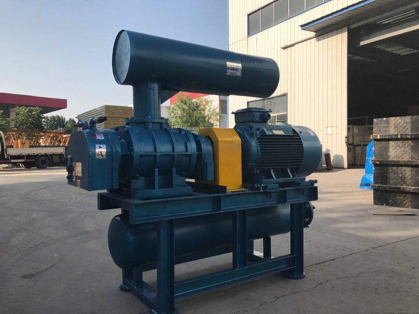 高效节能密集型罗茨鼓风机专业生产厂家