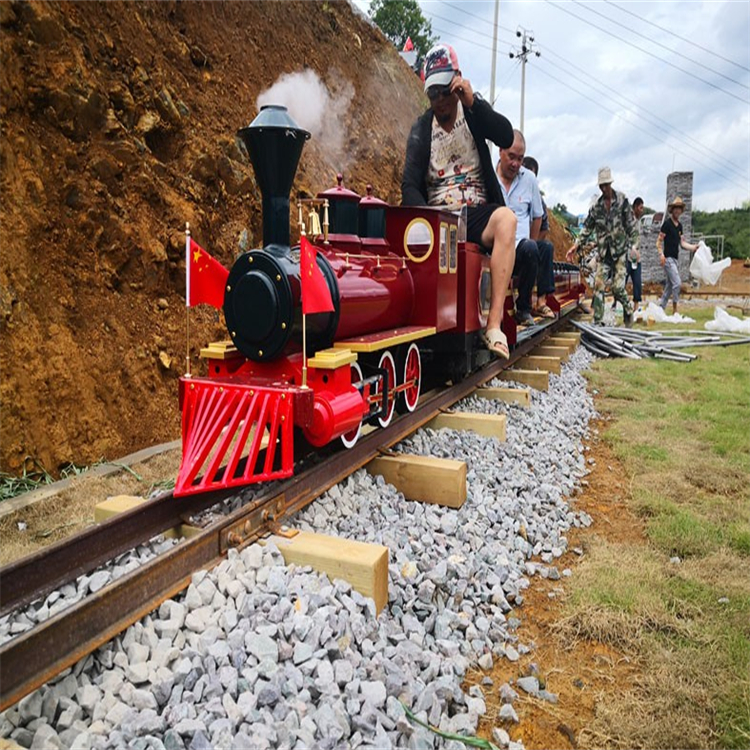 景区电动轨道小火车 四季游乐设备多功能游乐设备 商场无轨小火车