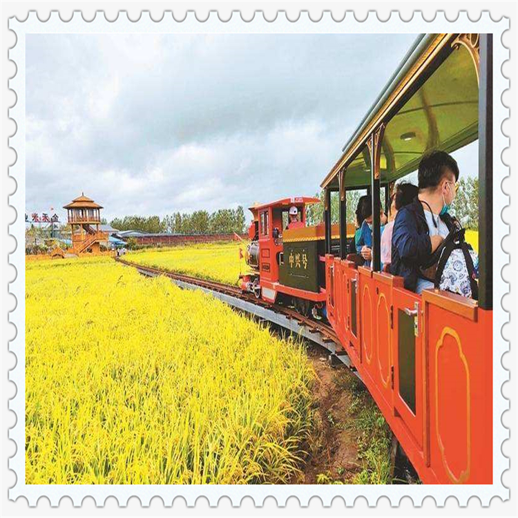 景区电动游乐设备 儿童游乐轨道小火车 多功能游乐设施 游玩 观光