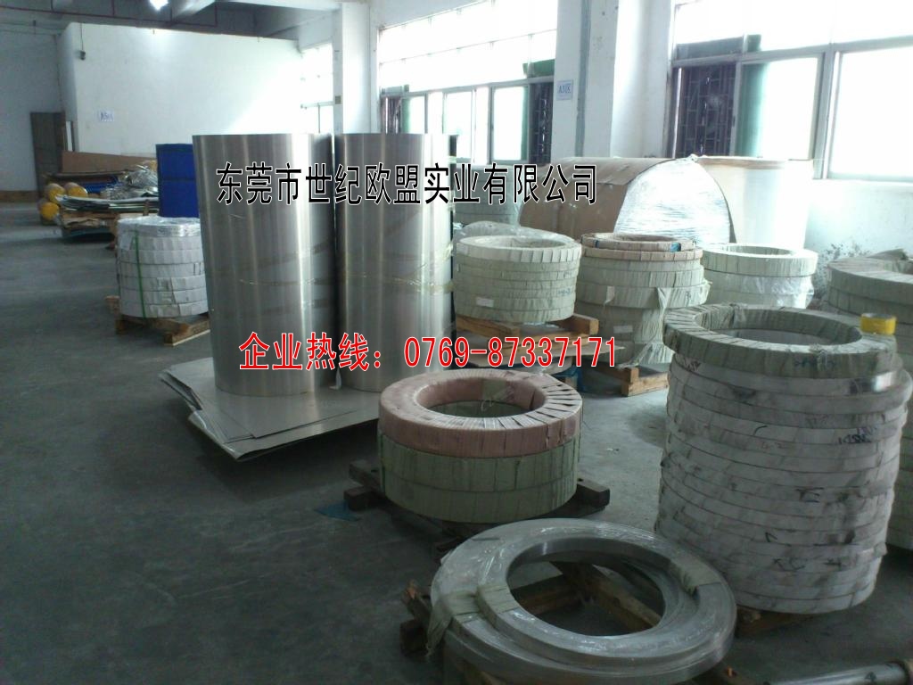 世纪欧盟铝业有限公司