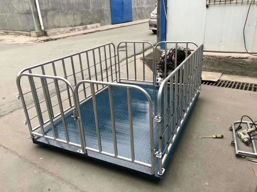 地磅 电子地磅 称猪地磅厂家
