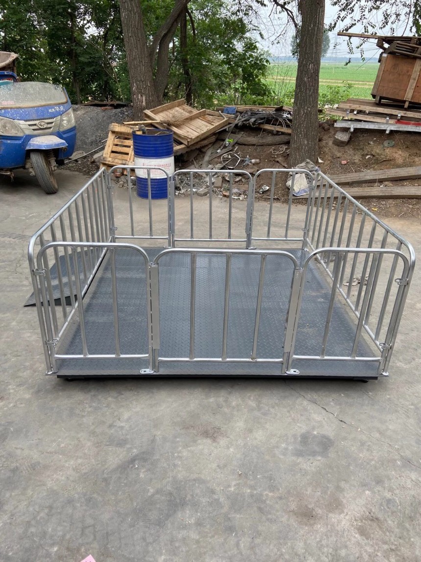 猪用地磅 养殖地磅秤 电子地磅