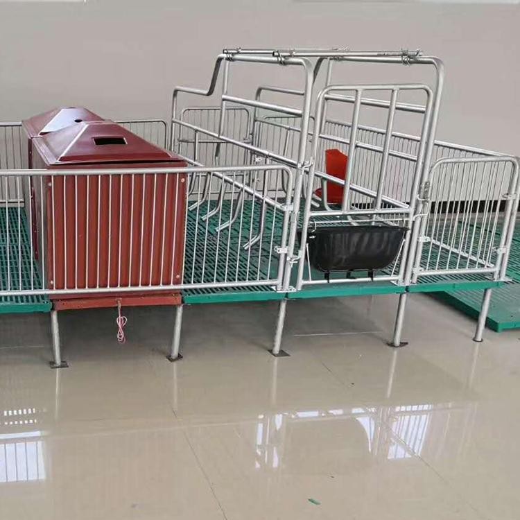 母猪分娩床 复合双体产床 母猪产床