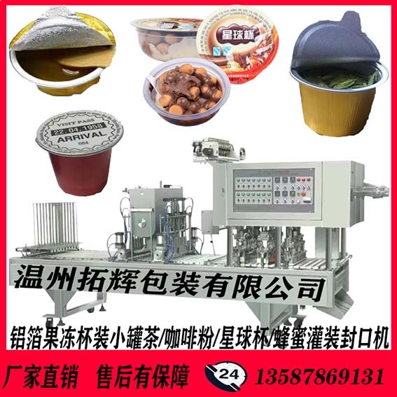 TH-6头全自动片膜包装封口机 咖啡粉灌装封口机