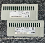 美国AB  1794-ID2-模块