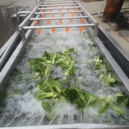 多功能蔬菜清洗机，果蔬清洗设备，菠菜清洗机