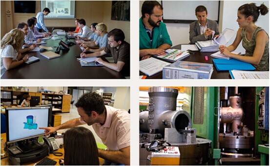 德国泰科阀门国际有限公司