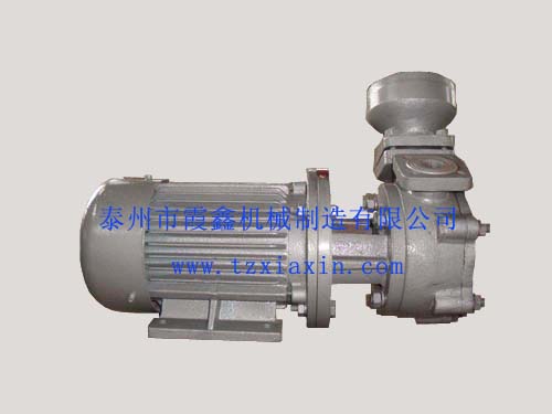 1W（Z）系列船用旋涡泵
