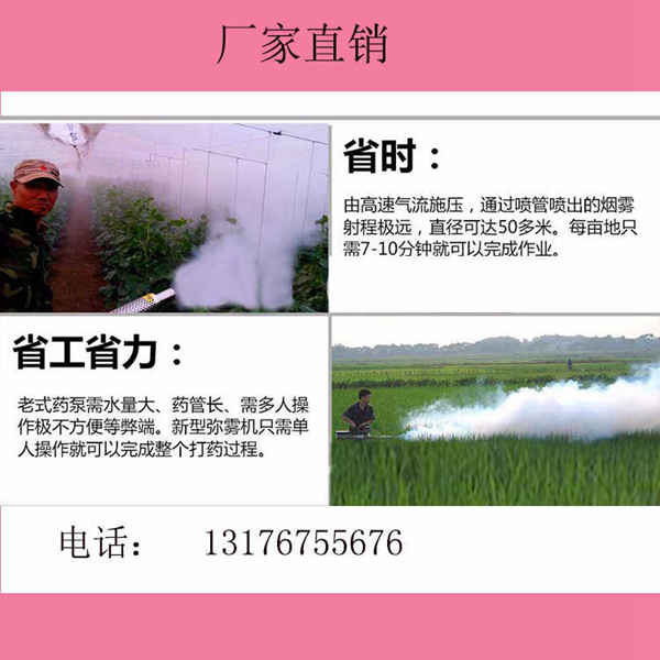 日照高端弥雾机