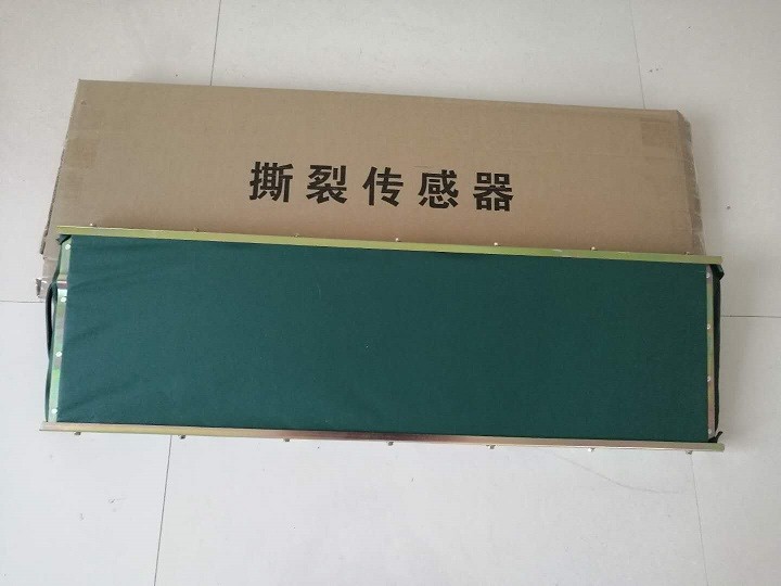 浙江玮肯GVD1200本质安全型撕裂传感器