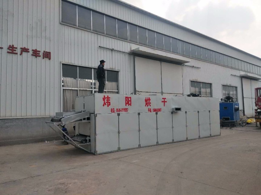 玫瑰花网带烘干机厂家