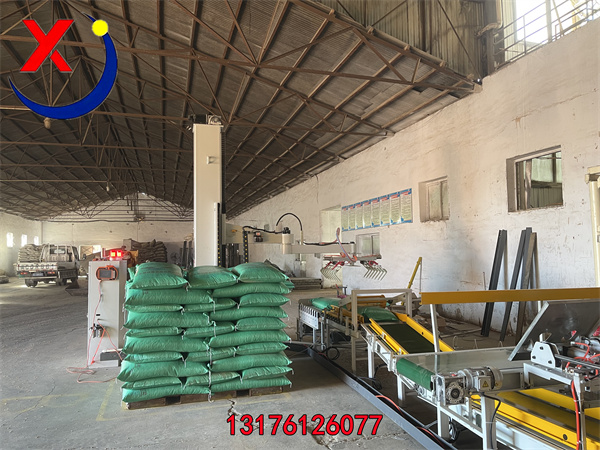 在农产品加工中，立柱机器人绿豆码垛应用