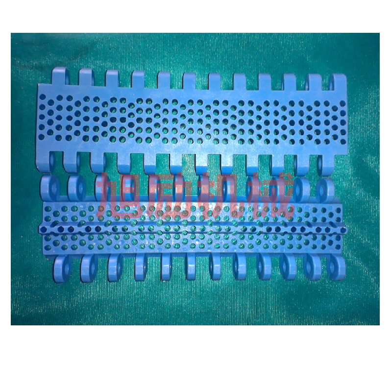 800圆孔塑料网带