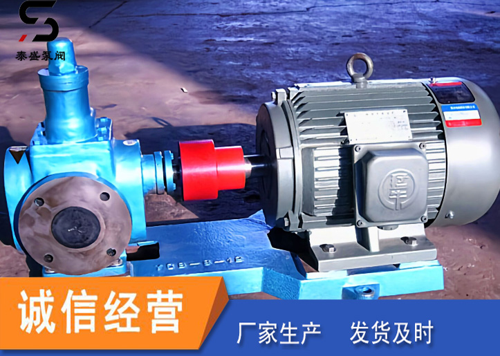 圆弧齿轮泵 泰盛泵阀