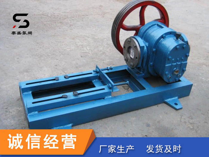 泰盛供应皮带传动罗茨泵