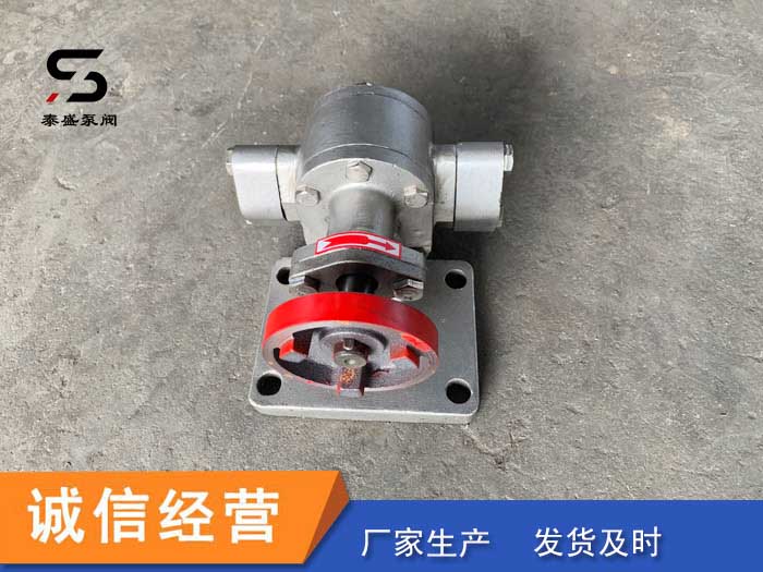 不锈钢齿轮泵 耐腐蚀 高扬程