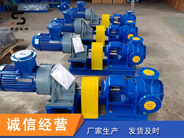 不锈钢齿轮泵泰盛泵阀定制供应