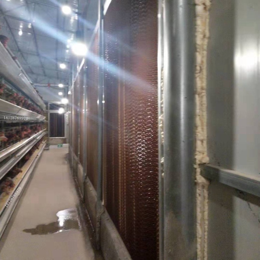 新型白鸽送料机 清粪机 配套设备