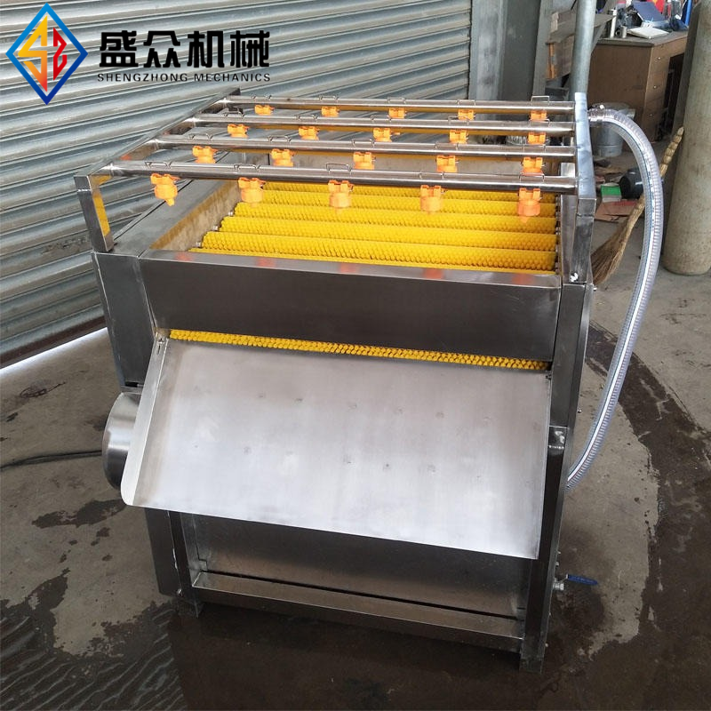 粽叶清洗机荷叶苇叶清洗设备厂家